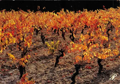 BF2767 languedoc france