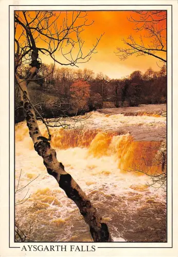 BR82972 aysgarth falls uk