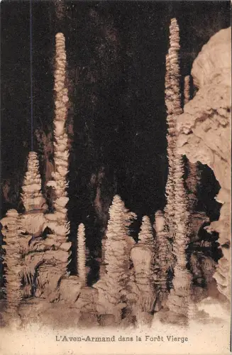 BR49946 L Aven armand dans la foret vierge France 1
