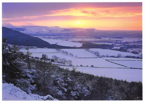 B97178 Winterlandschaft UK