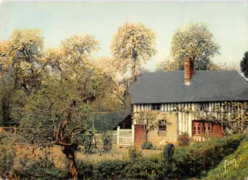 BR50186 Bocage Normand En vallee d auge l France