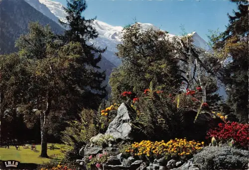 BT5629 Pays du mont Blanc rocalle fleurie France