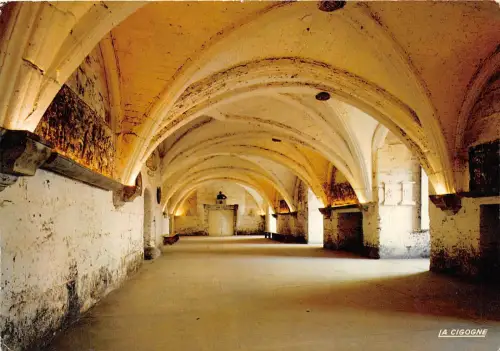 BR30520 Cognac Chateau France