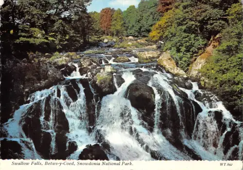 B100624 Schwalbenfälle zwischen coed snowdonia nationalpark wales