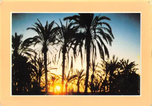 BT11678 Charme et douceur de la tunisie jerba Tunesien