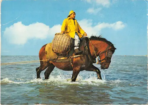 BT3613 Pecheur de Crevetles Angeln