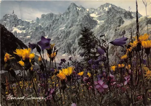 BR22809 Vie en montagne france