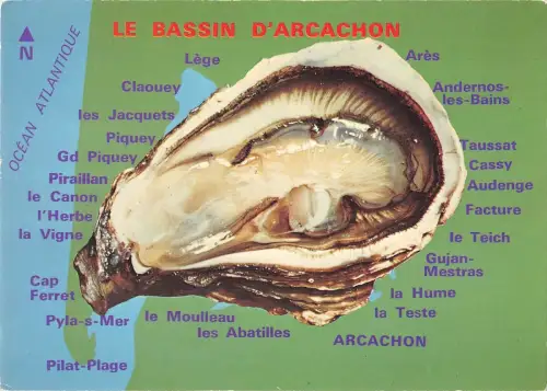 BT8480 Bassin Arcachon France