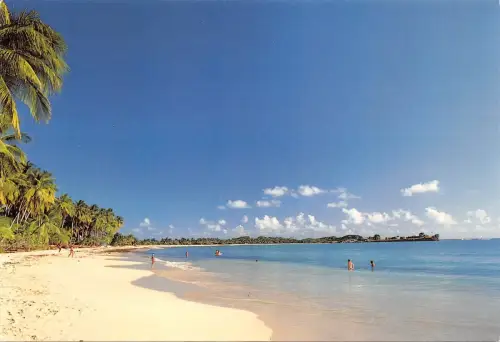 BF1163 plage des salines martinique Frankreich
