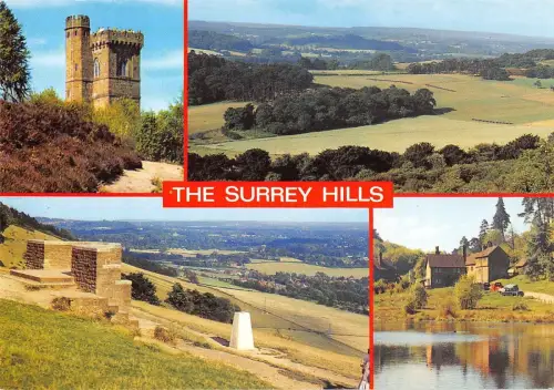 BR75512 the surrey hills leith hill newlands corner box hill uk