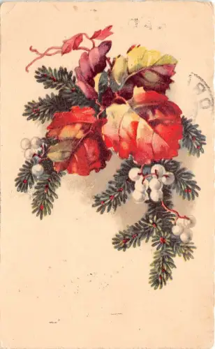 B39290 weihnachten Tannenmistel