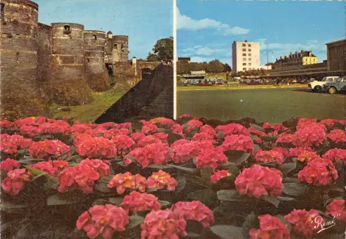 BR54701 Le chateau Angers frankreich