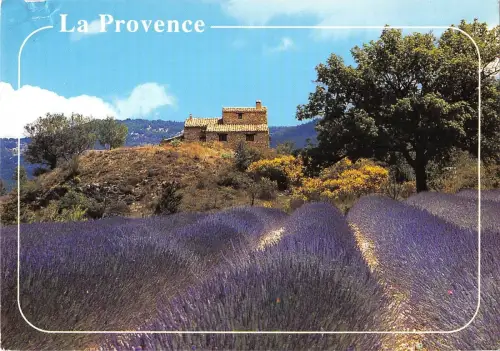 BR85024 la provence sur la route de la lavande france