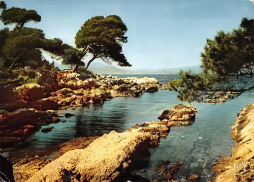 BT8305 Ile Saint Honorat calanque des beouf France