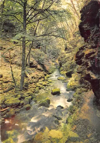 BR91994 lydford gorge devon uk