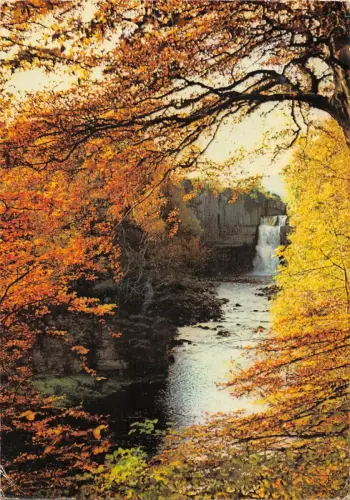 B101836 high force teesdale with autumn foliage uk