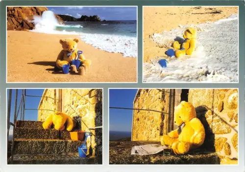 B99947 sogar Bären brauchen Urlaub Cornwall UK