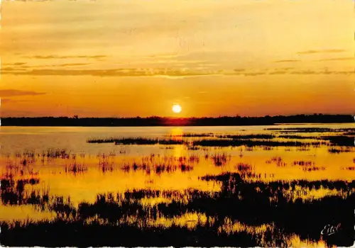 BT3994 En Camargue Coucher de Soleil France