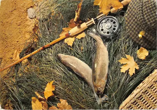 BT12546 Peche Angelsport