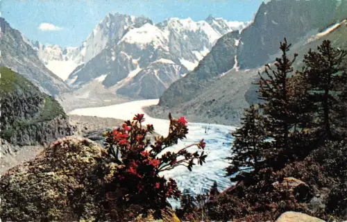 BT13083 Mont blanc la mer de glace Frankreich