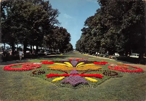 BT10739 La rochelle jardin et allee du mail France