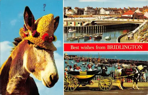 BR66097 beste Wünsche von Bridlington Donkey Wagen UK 14x9cm