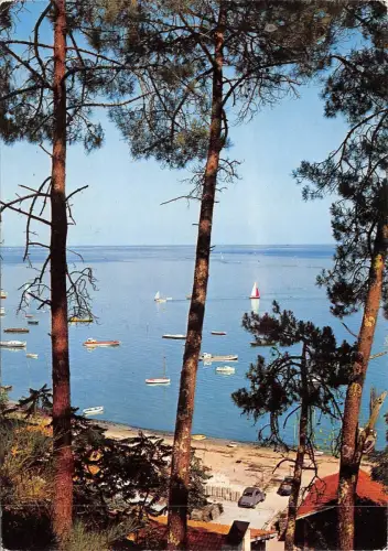 BF1836 Bassind Arcachon Cap Frettchen Frankreich