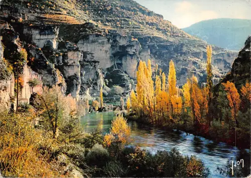 BF593 gorges du tarn lozere france