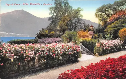 BG26443 lago di como villa carlotta giardino italy