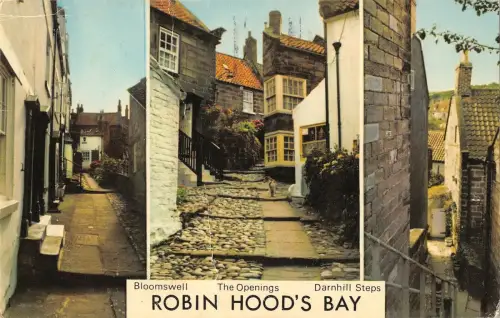 B103585 robin hood s bay darnhill steps bloomswell uk
