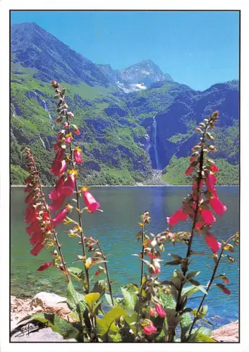 BF507 Pyrenäen Le Lac Doo Frankreich