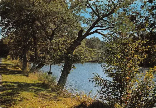 BF1293 forets et riviers france Frankreich