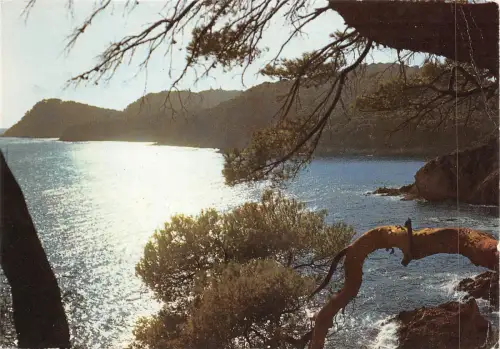 BF1733 presquile de giens la cote sauvage Frankreich