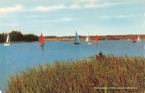 BR67159 frensham pond near farnham uk 14x9cm