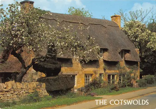 BR81950 the cotswolds near stanway uk