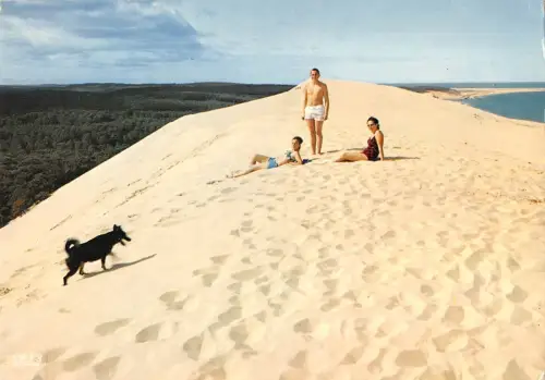 BT5028 bassin d arcachon la dune du pilat France