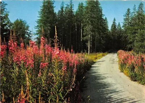 BR22658 La Route des Vacaces Frankreich