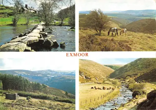 BR92118 Exmoor Ponys Dunkery Beacon Tarr Steps UK