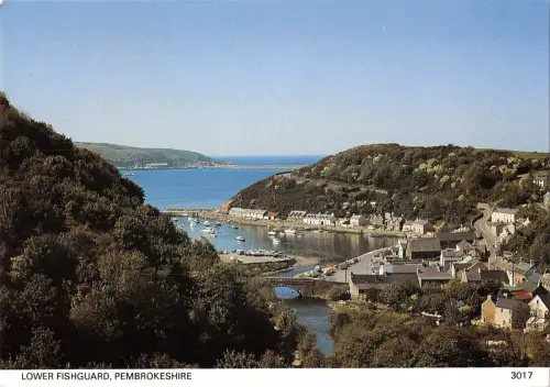 B97646 Unterer Fischschutz Pembrokeshire Wales