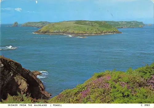 BR90664 Skomer vom Festland Pembs Wales
