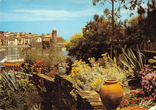 BT7755 Collioure le vieux port domine par le clocher de l eglis e France