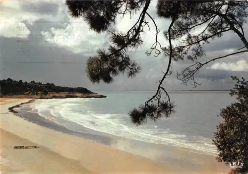 BT6709 Entre Meschers et St Georges de Didonne Frankreich