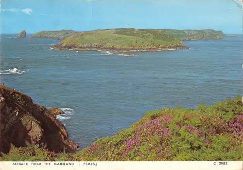 BR92161 Skomer vom Festland Pembs Wales