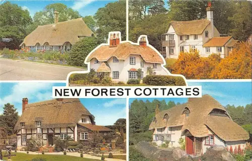 BR66059 new forest cottage uk 14x9cm