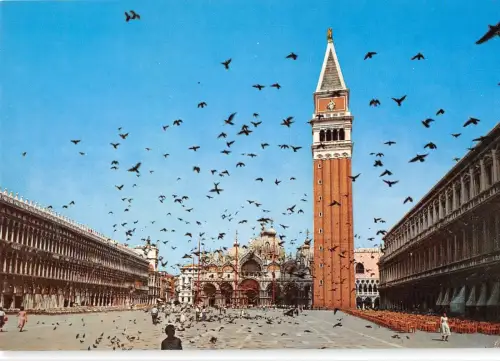 BT1738 venezia piazza s marco volo di colombi italy