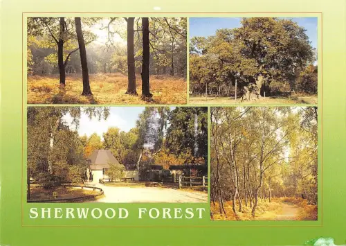 BR89651 Sherwood Forest Major Oak UK