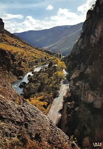 BT8254 Gorges du tarn aux environs des Vignes Frankreich