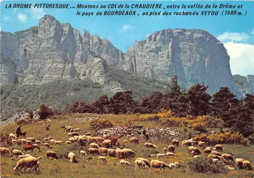 BR22020 Moutons Sheep au col de la chaudiere france