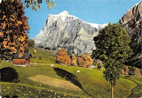 BR86366 Italien