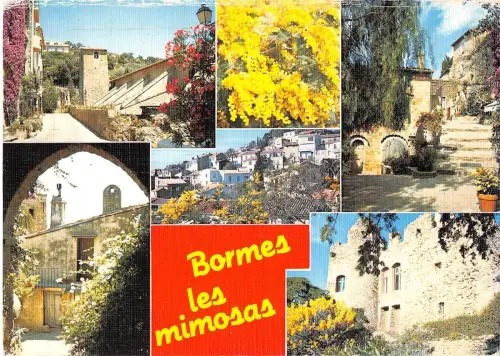 BT5851 Bormes les mimosas France